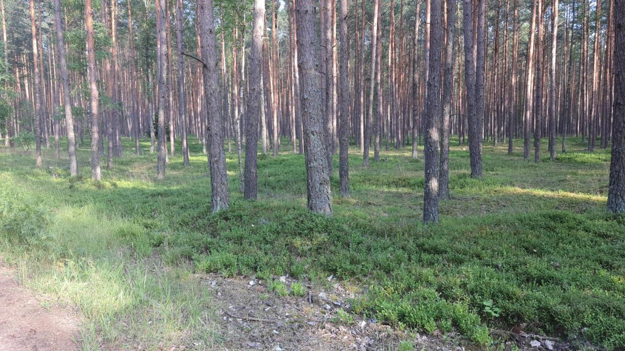 Апартаменти Bukowa Ostoja Nakielno Екстер'єр фото